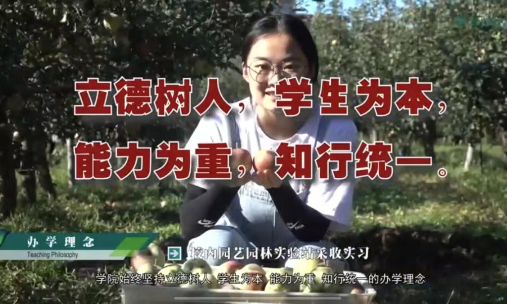 77779193永利宣传片